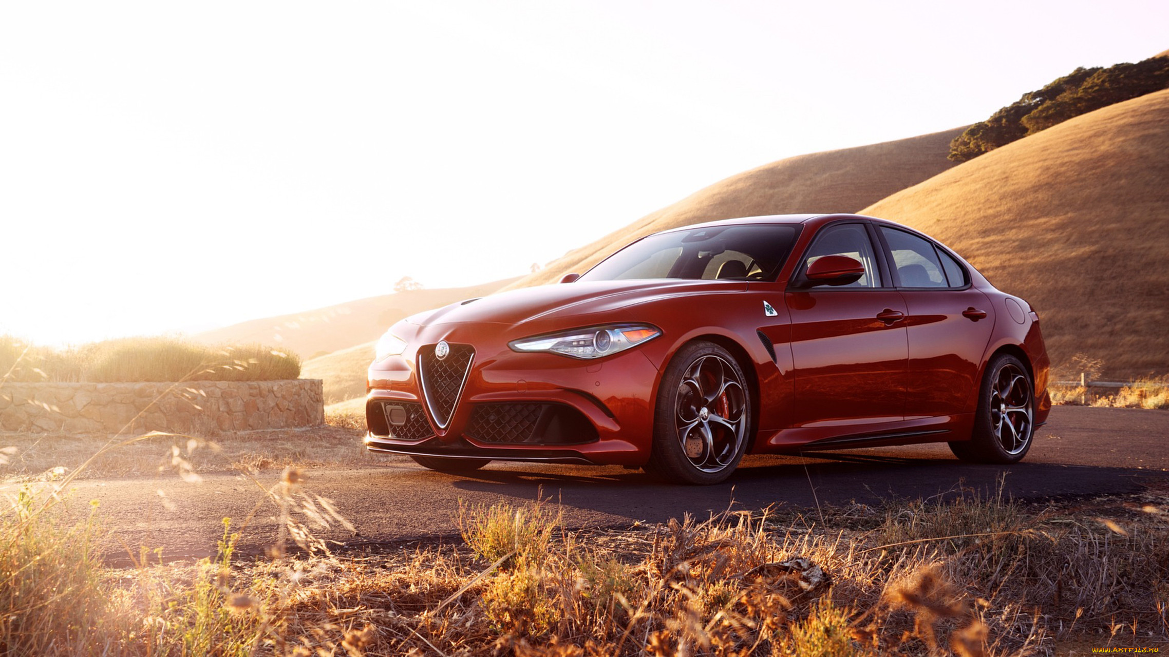 , alfa romeo, giulia, alfa, romeo, quadrifoglio, 2017